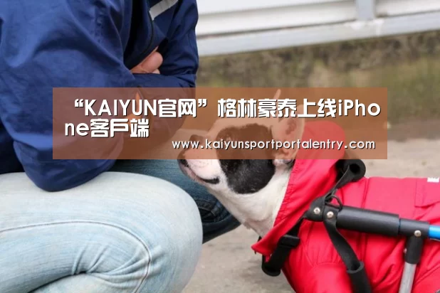开云赛事