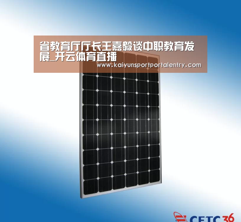 省教育厅厅长王嘉毅谈中职教育发展_开云体育直播(图1) 开云赛事