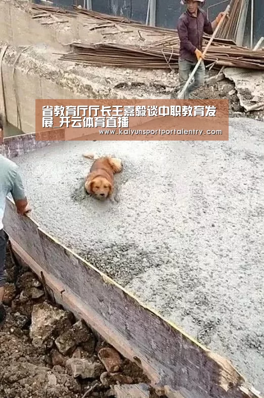 省教育厅厅长王嘉毅谈中职教育发展_开云体育直播(图4) 开云赛事
