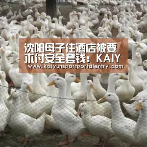 KAIYUN官网